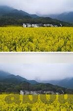 沙巴足球即时比分-探秘沙巴足球即时比分，数据背后的激情与策略